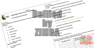 Bullied-by-ZIMRA-FB