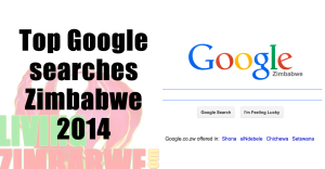 Top-Google-searches-Zimbabwe-2014