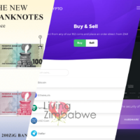 Zimbabwe-Gold-ZiG-Easy-Crypto-Exodus-Bitcoin-Crypto-Wallet-Living-Zimbabwe