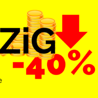 ZiG Zimbabwe Gold ZWG Currency devalued 40% September 2024